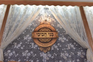 Formal Capa   LEDs  033