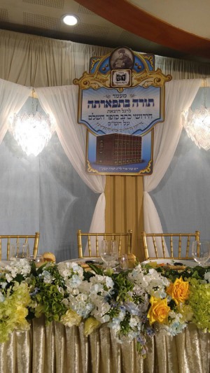 Formal Capa   LEDs  081