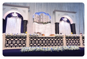 Formal Capa   LEDs  086